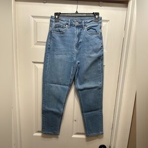 American Eagle Mom Jean